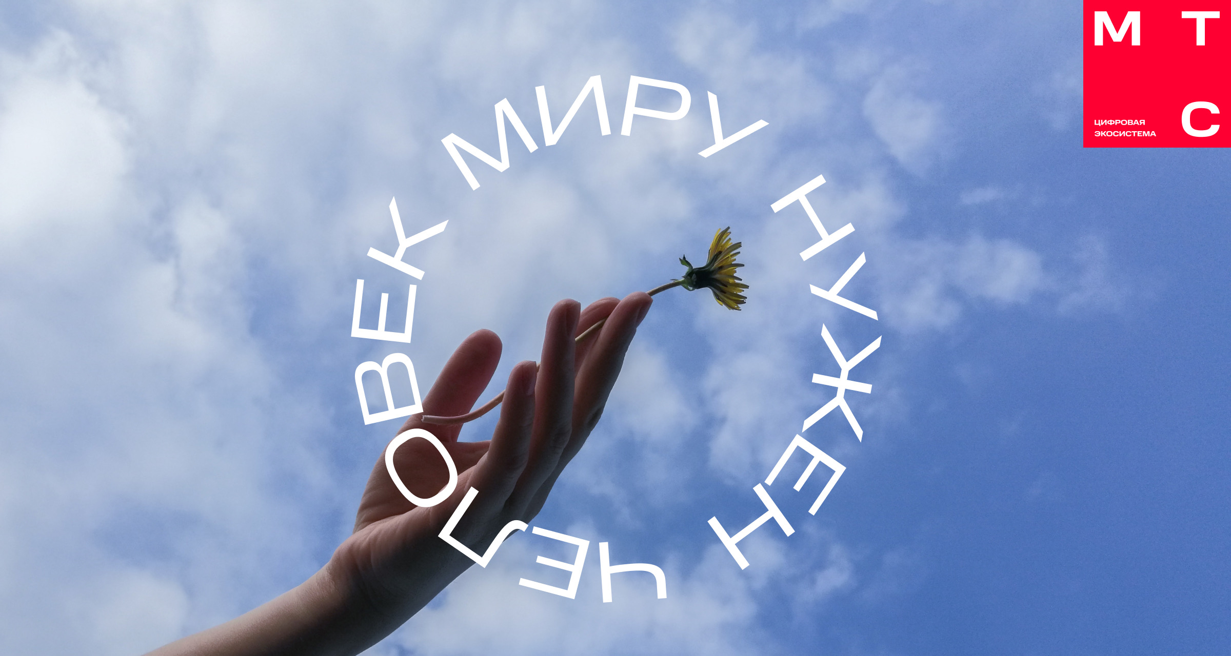 Поддержать работу «Константы» теперь можно в МТС Cashback